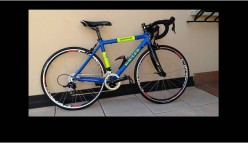 Bici Rauler 